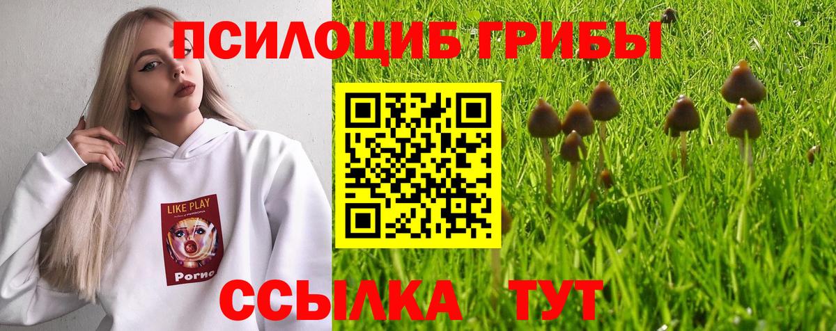 Галлюциногенные грибы MAGIC MUSHROOMS  Вход с VPN  Шадринск  Галлюциногенные грибы GOLDEN TEACHER 